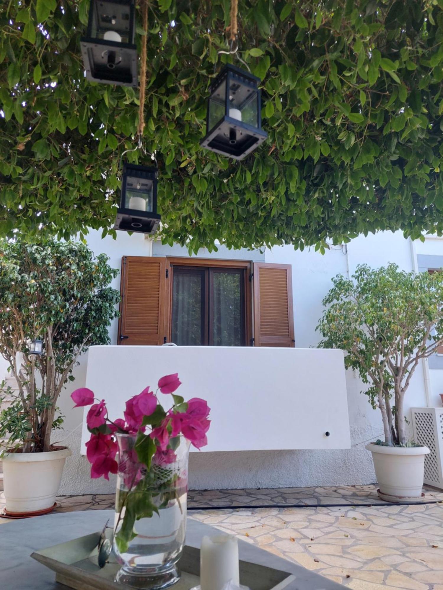 Stefanos Katsaros Studios Skála Rom bilde